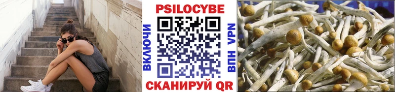 Псилоцибиновые грибы Psilocybine cubensis Короча