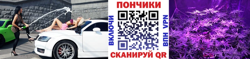 сколько стоит  Короча  omg как войти  МАРИХУАНА OG Kush 
